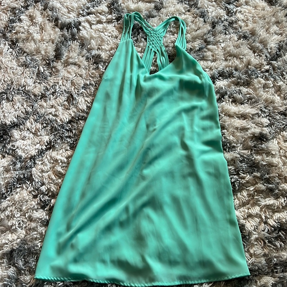 Pink Lily Boutique mint dress